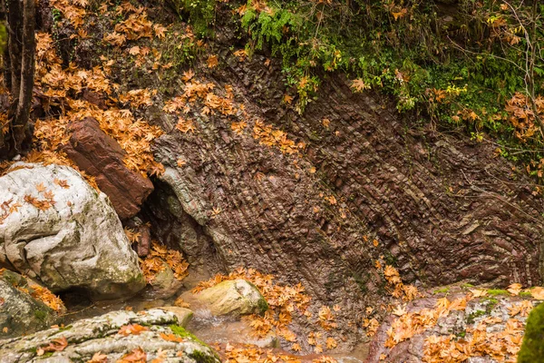 Paesaggio paesaggistico di montagna autunno — Foto Stock