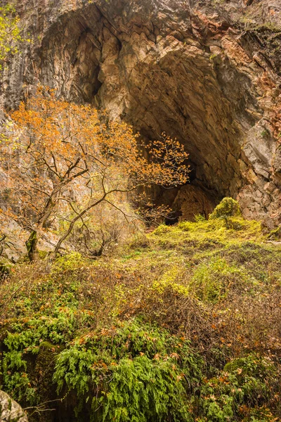 Fjellandskap i naturen – stockfoto