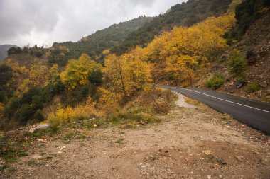 Doğal dağ sonbahar manzarası 