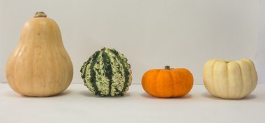 Dekoratif renkli mini kabaklar