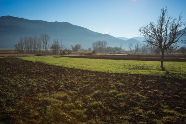 Dağlar, alan ve sis sabahın erken saatlerinde