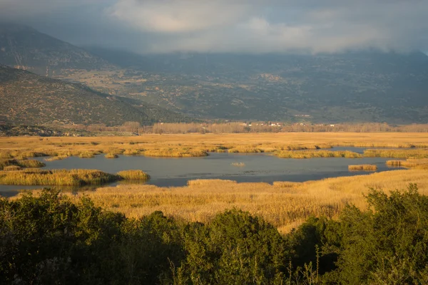 Sjön Stimfalía hösten i Peloponnesos, Grekland — Stockfoto