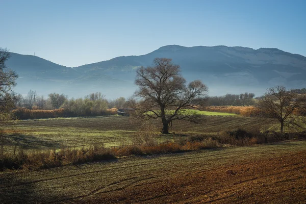 Temprano en la mañana en las montañas, campo y niebla — Foto de Stock