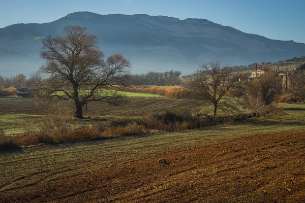 Temprano en la mañana en las montañas, campo y niebla — Foto de Stock