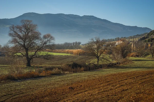 Temprano en la mañana en las montañas, campo y niebla — Foto de Stock