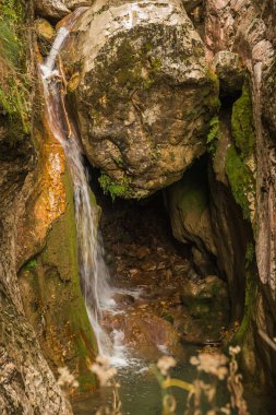 Nehirli sonbahar manzarası