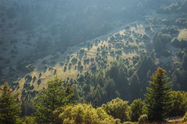Peloponnese içinde dağ manzarası