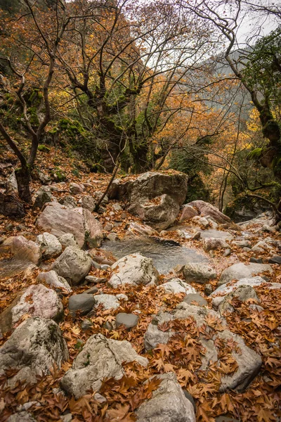 秋天有河流的风景 — 图库照片