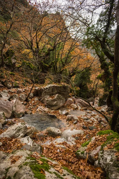 Herfstlandschap met rivier — Stockfoto