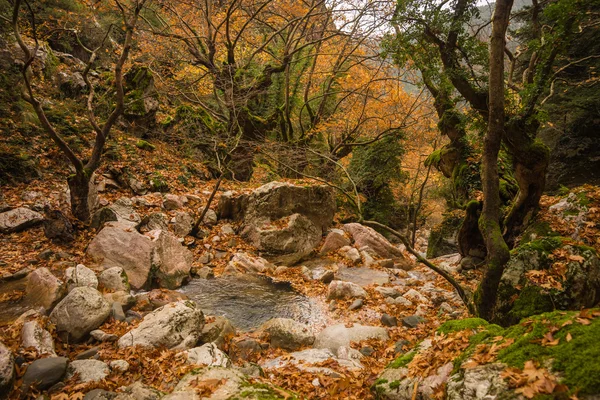 Őszi táj folyóval — Stock Fotó