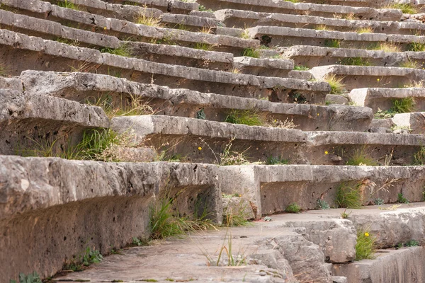 Αρχαίο ελληνικό θέατρο στους Δελφούς — Φωτογραφία Αρχείου
