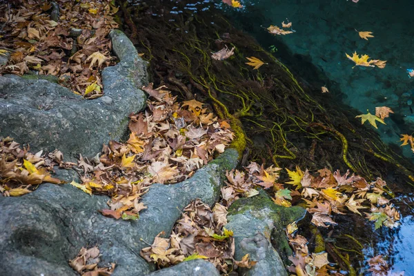 Paesaggio autunnale con fiume — Foto Stock