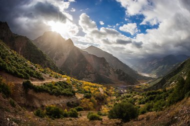Dağ güneş ışığı altında sonbahar manzarası