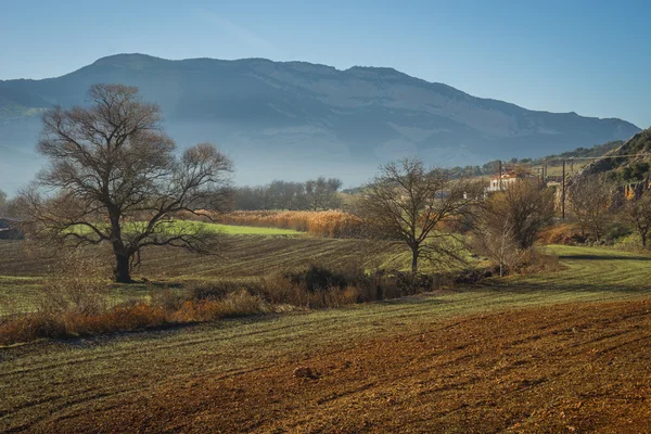 Tidig morgon i berg, fält och dimma — Stockfoto