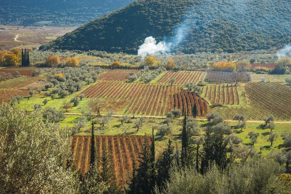 Humo de los incendios en los campos agrícolas del Peloponeso en Gr — Foto de Stock