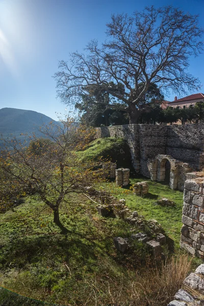 Afbeelding van het klooster van St. Luke in de buurt van Delphi — Stockfoto