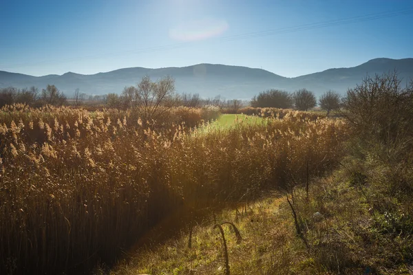 Früher Morgen in den Bergen, Feld und Nebel — Stockfoto