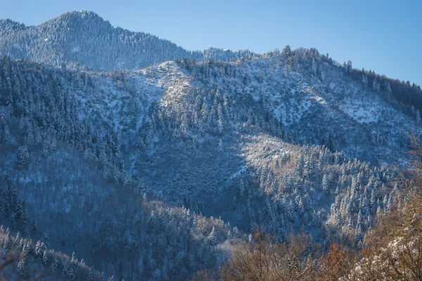 Paesaggio panoramico con montagne innevate sul lago Plasti — Foto Stock