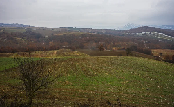 Kora reggel, a hegyek, a mező és a köd — Stock Fotó