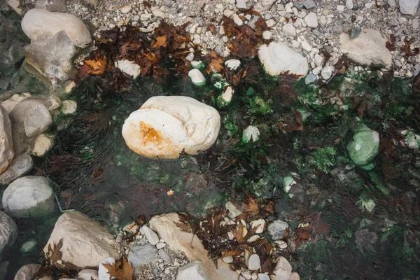 Foglie autunnali e acqua di smeraldo nelle sorgenti termali di Loutra — Foto Stock
