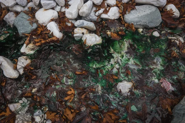 Foglie autunnali e acqua di smeraldo nelle sorgenti termali di Loutra — Foto Stock