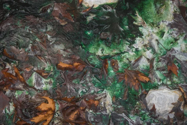 Folhas de outono e água esmeralda em fontes termais em Loutra — Fotografia de Stock
