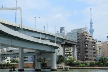 Tokyo Metropolitan Otoyolu Ryogoku Kavşağı