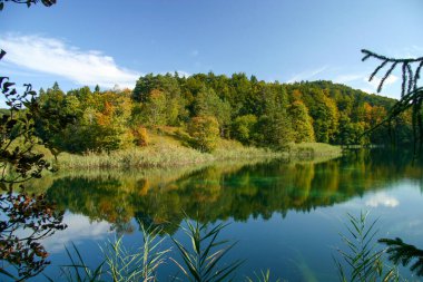 Hırvatistan 'ın Plitvice Göllerindeki ormanın yansıması