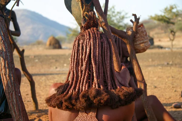 Himba Penteados Femininos Por Trás — Fotografia de Stock