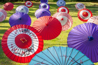 Displaying colorful Japanese traditional umbrella 'Wagasa' at Japanese style garden