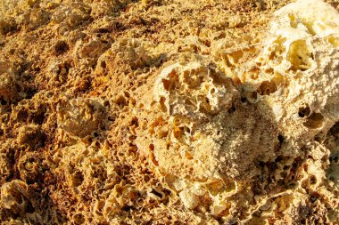 Dallol, Danakil Depresyonu ve Etiyopya 'daki sayısız fümerolden zehirli gaz atılır.