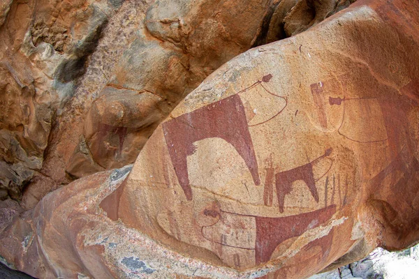 Ancient rock painting of livestock cows in Laas Geel, Somaliland, Africa