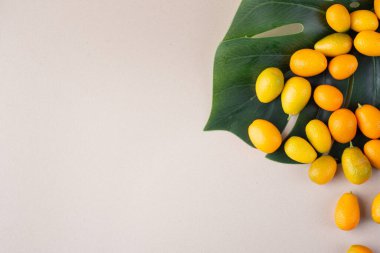 Taze kumkatlar ve yeşil yaprak. 