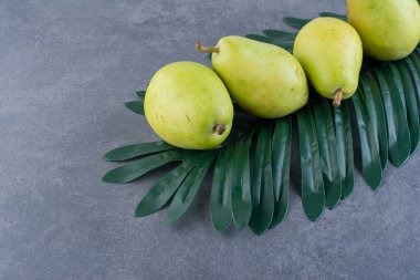 Taze yeşil armutlar ve gri arka planda yeşil yaprak