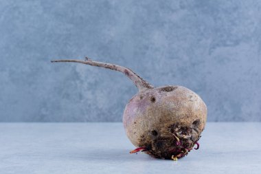 Gri arka planda taze pancar kökü