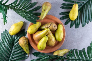 Taze armutlar ve gri arka planda yeşil yapraklar. en üstteki görünüm.