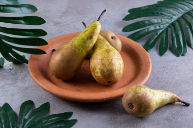 Taze armutlar ve gri arka planda yeşil yapraklar. en üstteki görünüm.