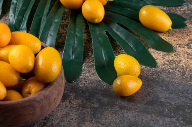 Taze kumkatlar ve yeşil yaprak.