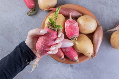 Gri arkaplanda el ele turp tutuş.