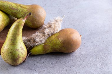 Gri arka planda taze armutlar