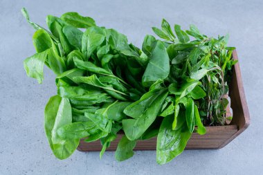 Gri arka planda taze yeşil ıspanak yaprakları. en üstteki görünüm.