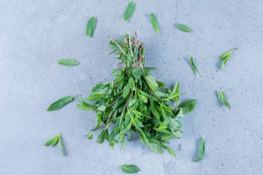 Gri arka planda taze yeşil yapraklar. en üstteki görünüm.