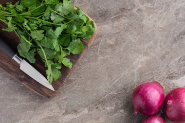 Gri arka planda taze organik kırmızı soğan ve maydanoz. en üstteki görünüm. 