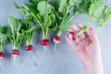Gri arka planda taze turpları tutan kadın elleri.
