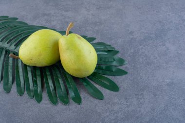 Taze yeşil armutlar ve gri arka planda yeşil yaprak