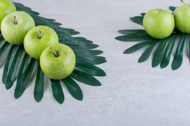 gri arkaplanda yeşil elmalar.