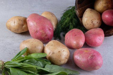 Gri arka planda taze organik patates 