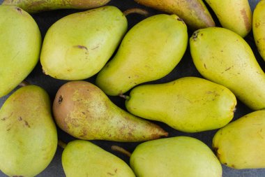 Gri arka planda olgun yeşil armutlar. 