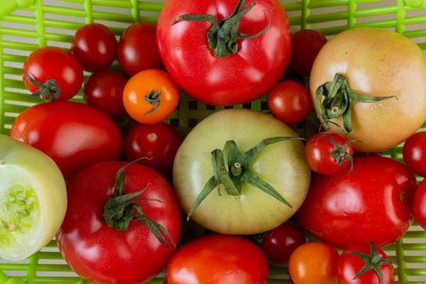 キッチンテーブルの上の新鮮なトマト — ストック写真
