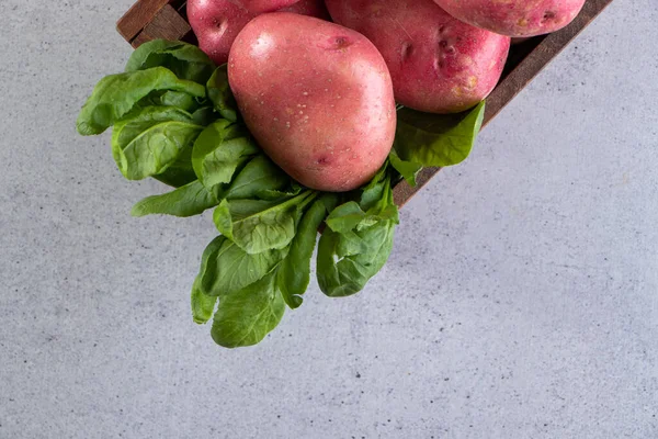 Fresh Organic Potatoes Gray Background — Stock Photo, Image